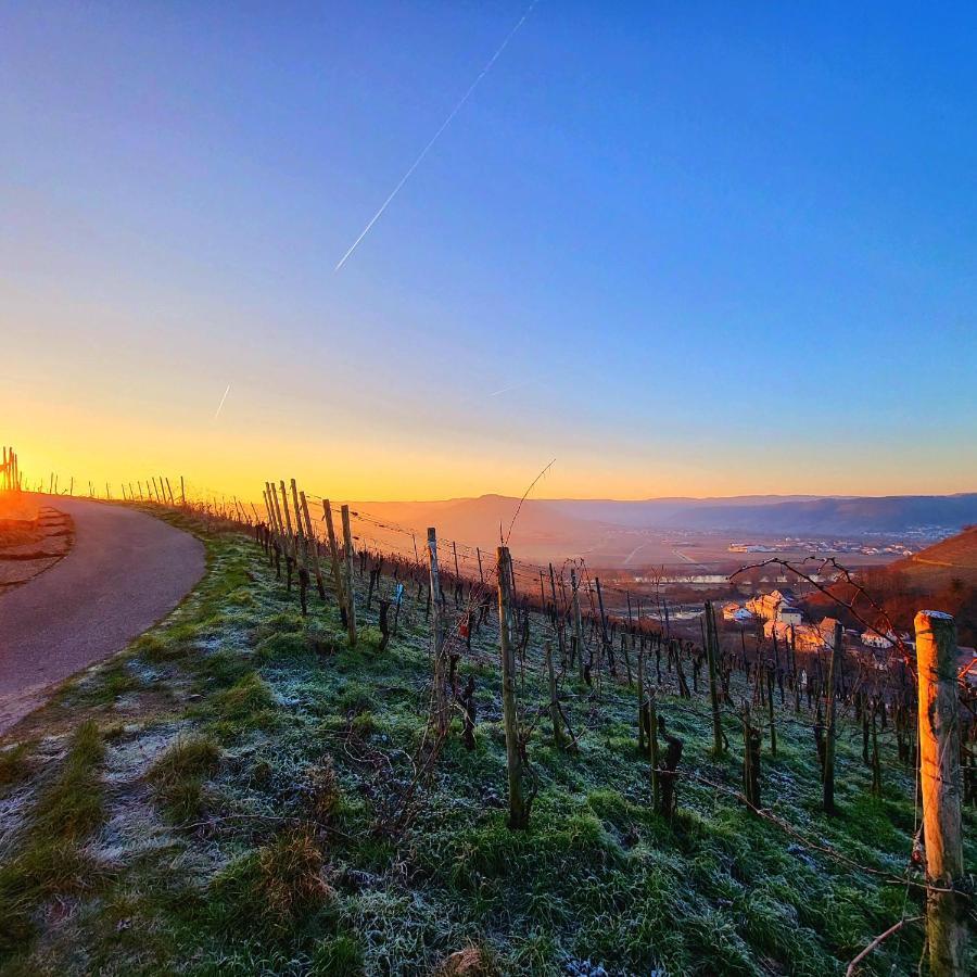 Ferienwohnung An Der Mosel Konz Esterno foto
